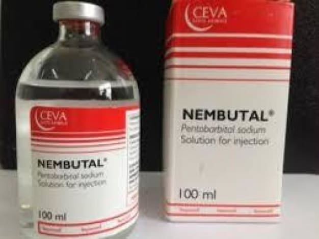 Nembutal For Sale