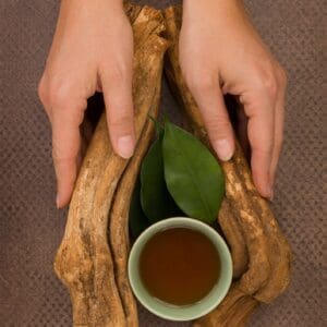 Soul Herbs: Buy Ayahuasca
